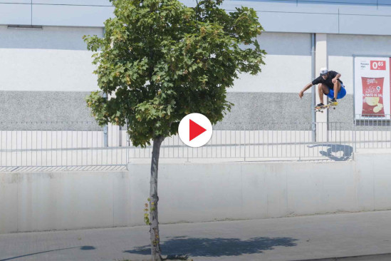 Blake Johnson - Santa Cruz 'Part-Ular'