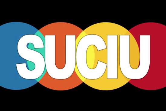 “Unofficial" Pals Questions - Mark Suciu